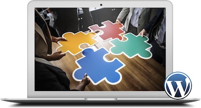 Plan Mantenimiento y Soporte Profesional Premium - Renovación anual