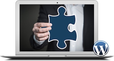 Plan Mantenimiento y Soporte Profesional Web - Renovación anual